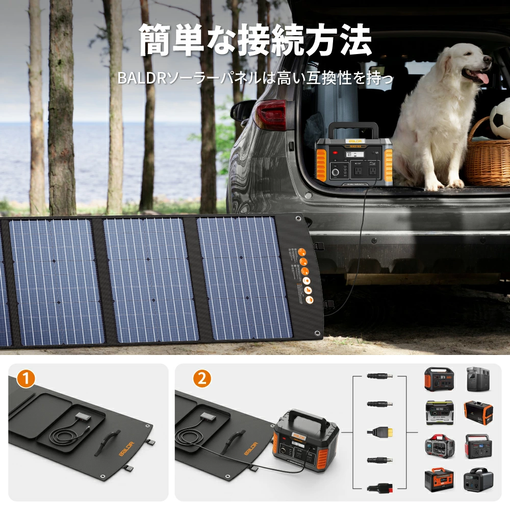 BALDR PIONEER 200W ソーラーパネル 太陽光パネル R1011 - 画像 (7)